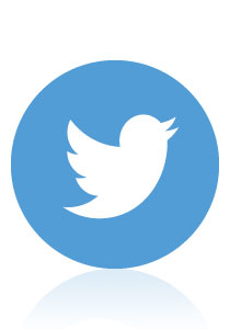 logo-twitter